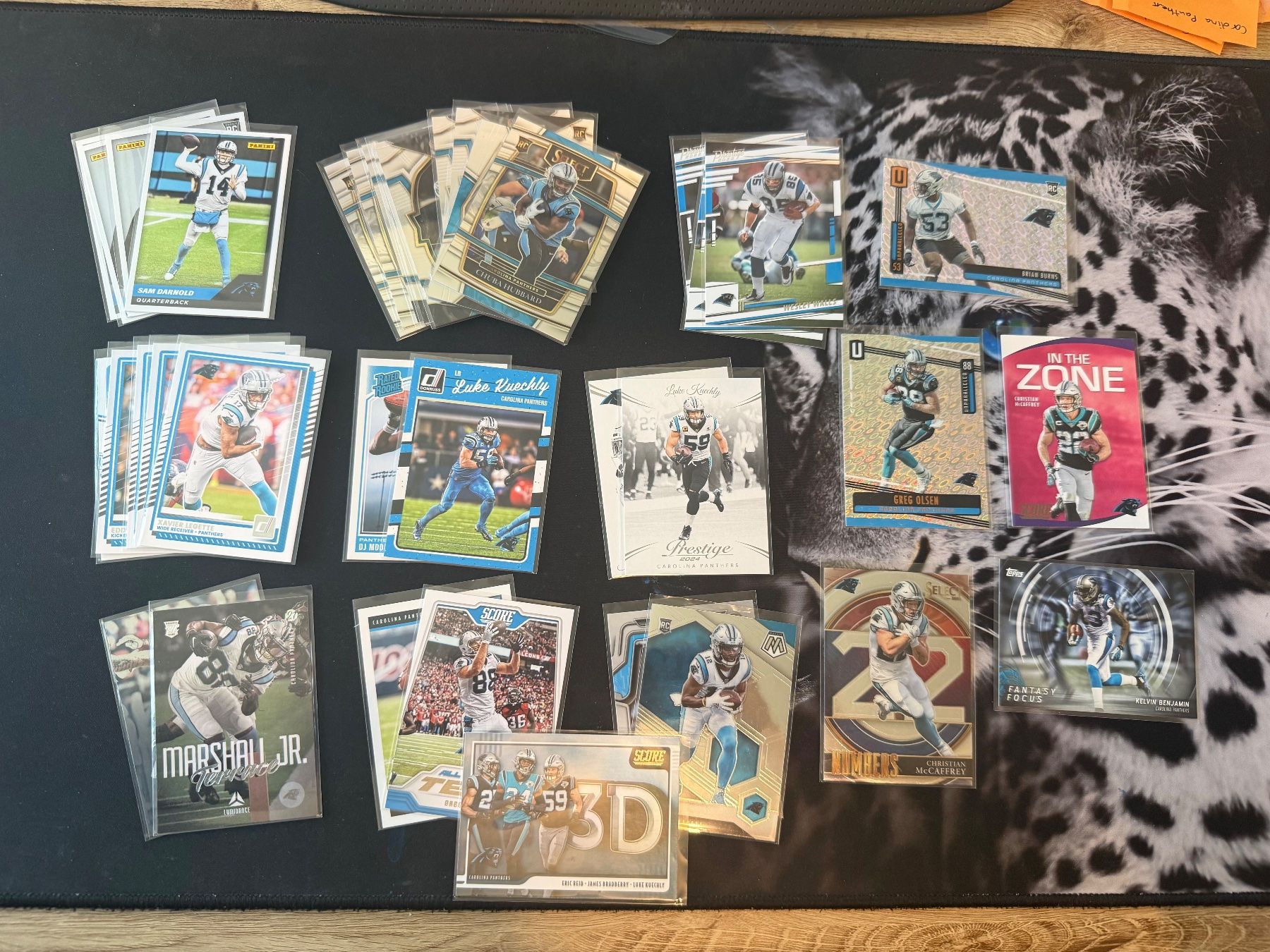 NFL Carte collezionabili: Carolina Panthers NFL Trading Card Sammlung (37 Karten!) – Usato da Malters venduto da cap.design_