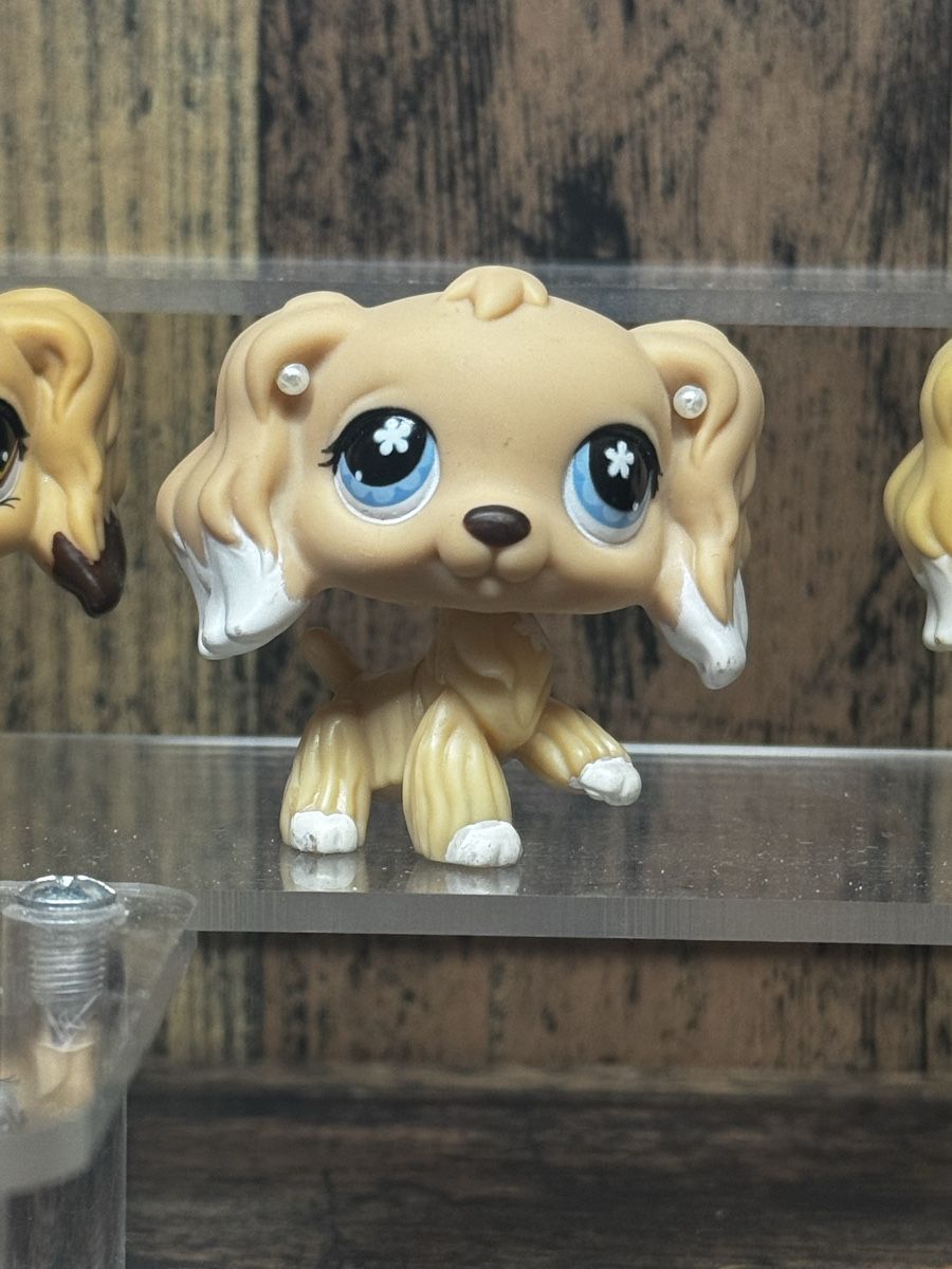 Hasbro Statuette: Littlest pet shop Cocker spaniel Australian exclusive – Usato da Luzern venduto da Maja.C