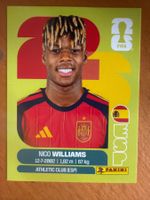Panini ESP17