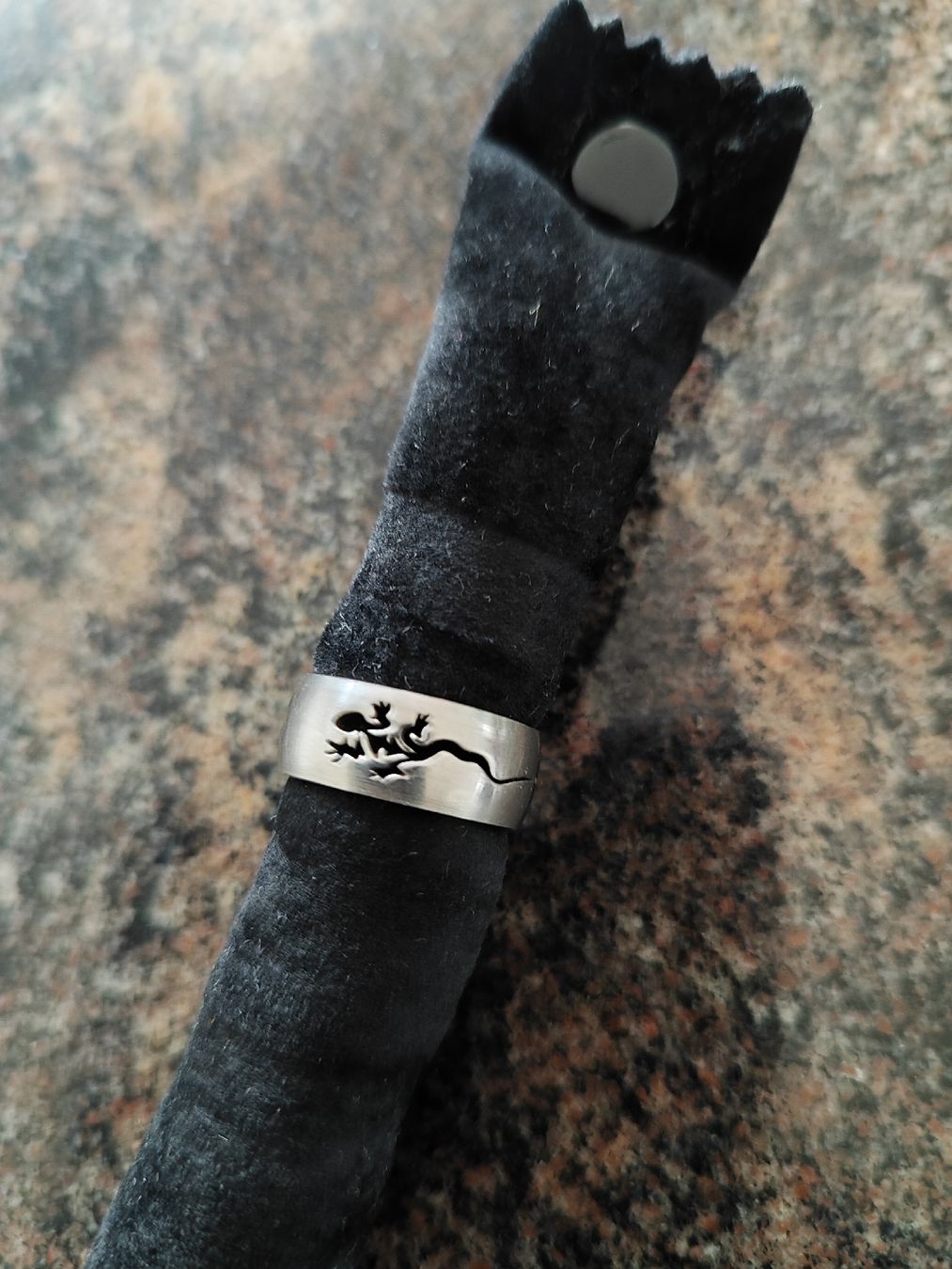 Anelli: Edelstahlring, mit Eidechsen Motiv, 8mm breit – Usato da Madiswil venduto da marmotte63