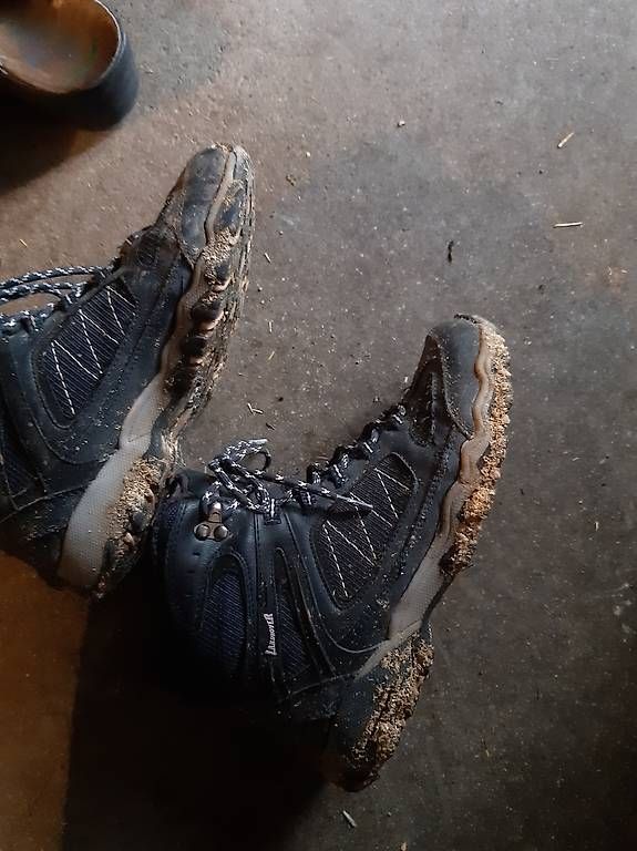 Scarpe da donna: Wanderschuhe 39 – Usato da Nebikon venduto da Haidihooo 1