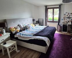 Large upholstered IKEA double bed + 180x200 mattress