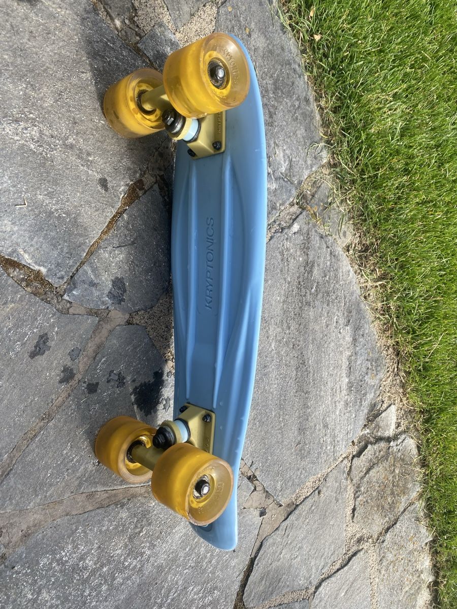 Penny Skateboards Skateboards: Pennyboard – Usato da Gundetswil venduto da Dsschaer 1