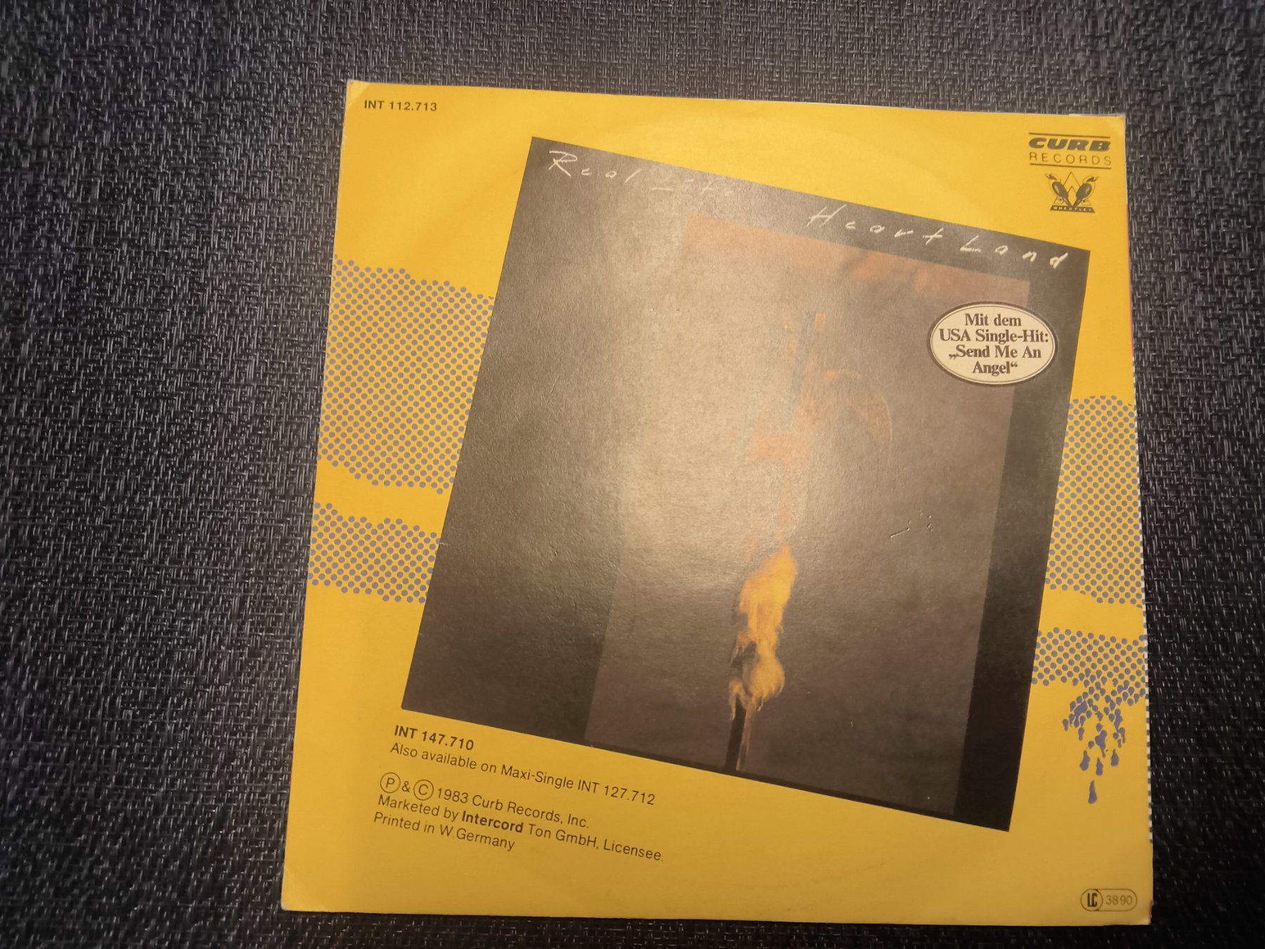 Dischi in vinile: VINYL Single: Real Life - Catch me I'm falling – Usato da Allschwil venduto da marketingprojects 2