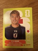 Panini Fifa JPN 14