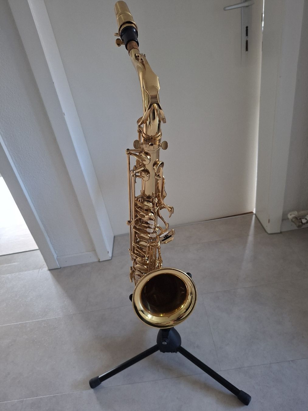 Strumenti musicali: Arnold & Sons Tenorsaxophon AST-100 – Usato da Schafisheim venduto da piiep_17 1
