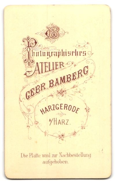 Fotografie & Manifesti: Fotografie Gebr. Bamberg, Harzgerode a.  – Usato da Berlin venduto da bartko-reher 1