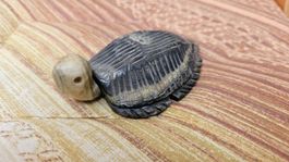 Tartaruga in pietra bicolore