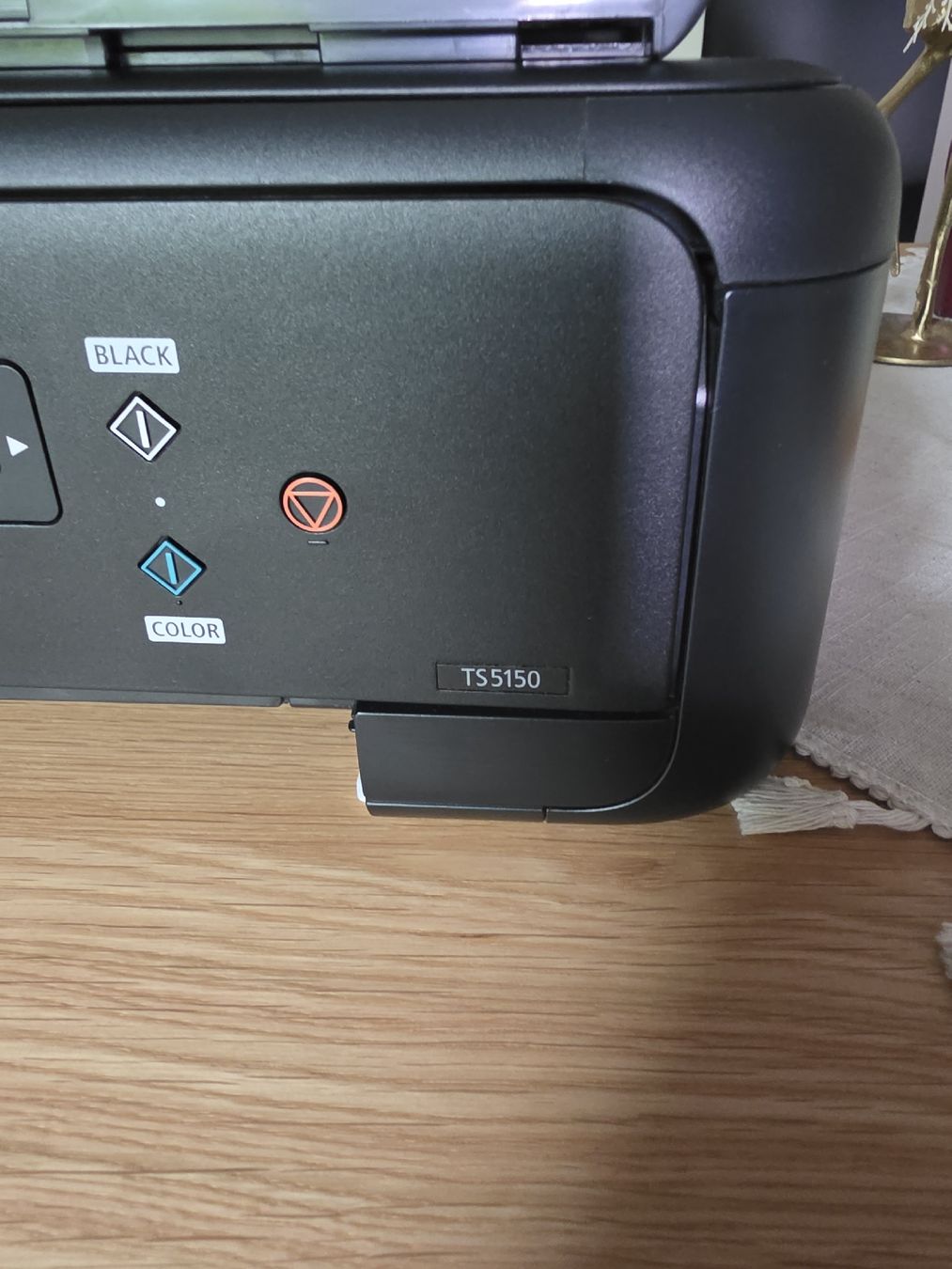 Canon Drucker: Canon TS5150 Drucker gebraucht – Gebraucht aus Zürich von domoli09 2
