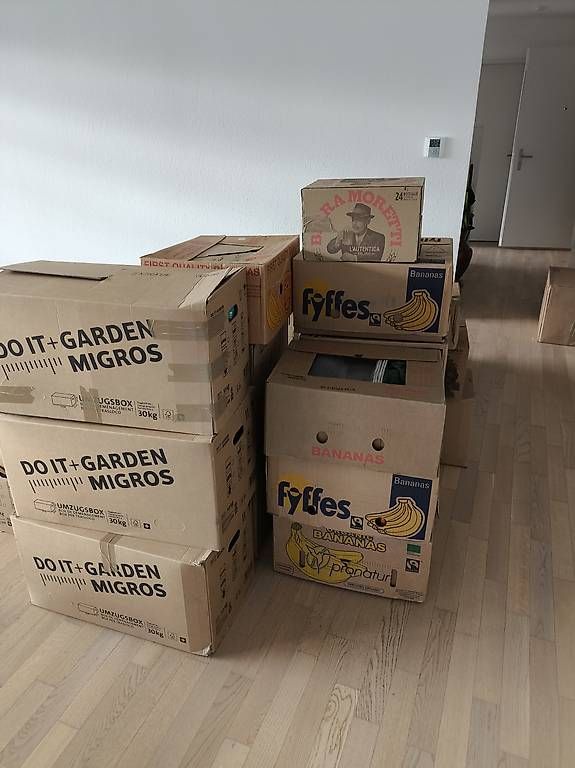 Cartons: Scatole per trasloco   – D'occasion à Locarno par sergi28