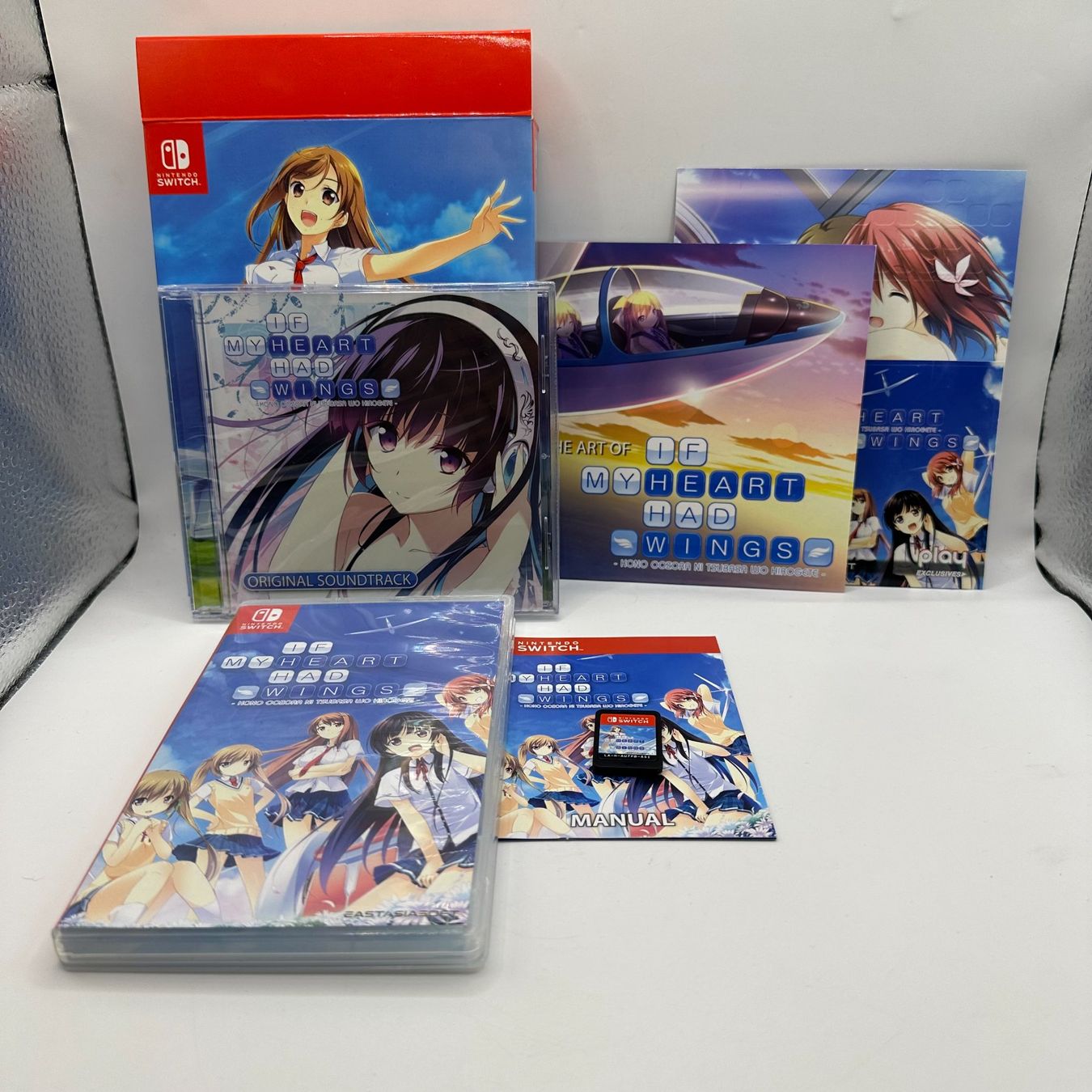 Nintendo Giochi: If My Heart Had Wings Switch – Usato da Düdingen venduto da Nerdworld