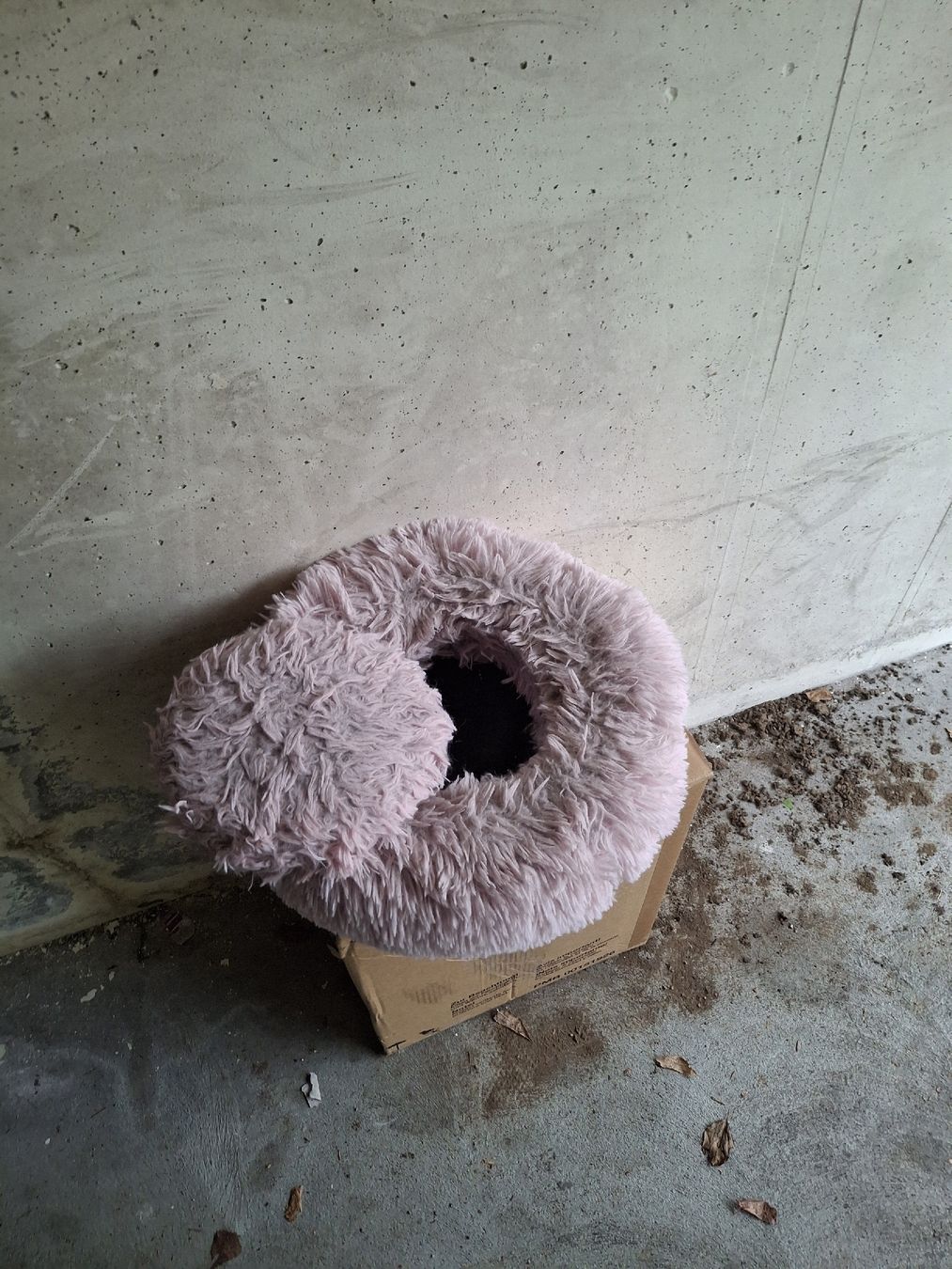 Cucce & Letti: Katzenbett – Usato da Sursee venduto da Maddox91 1