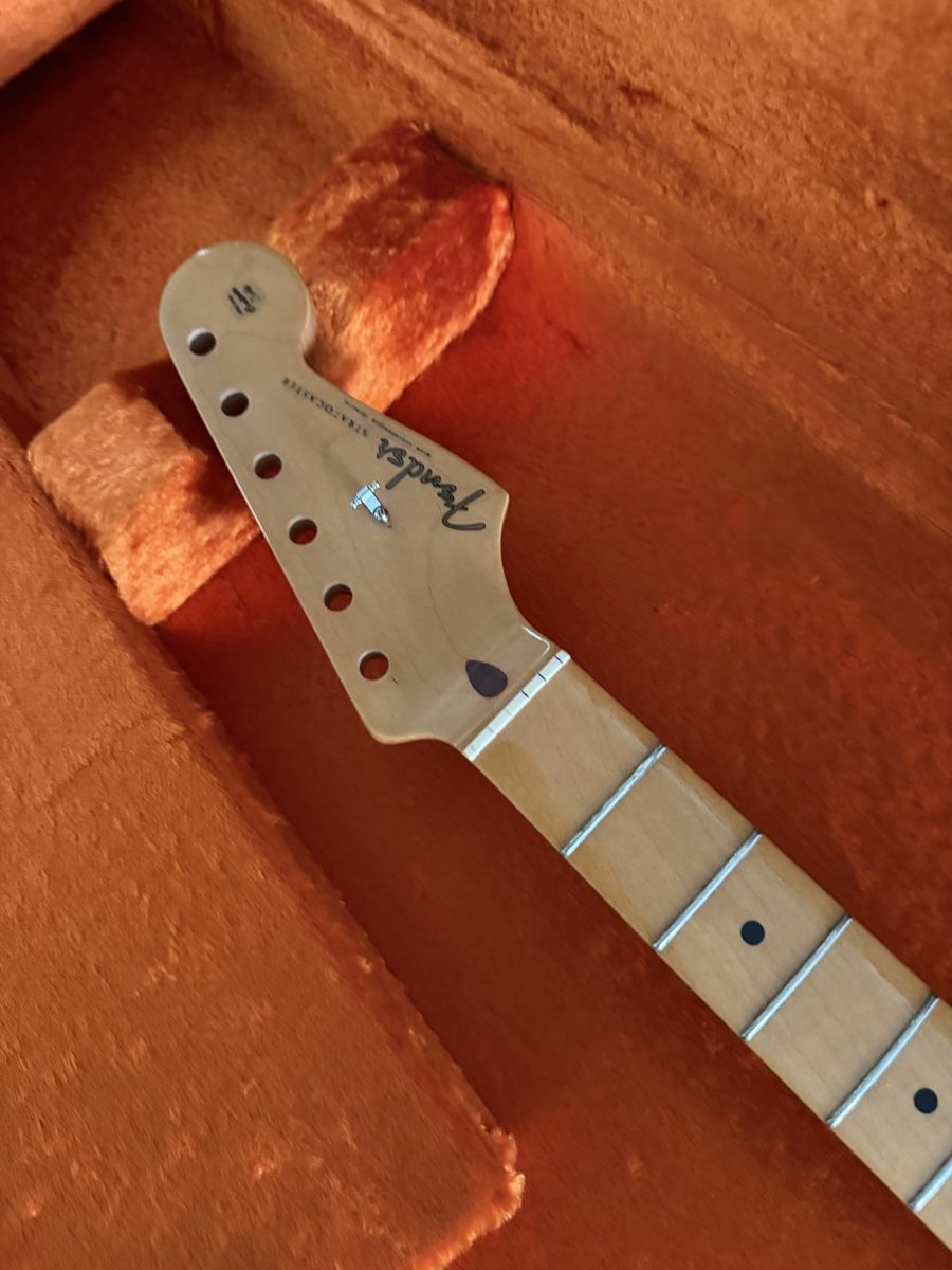 Fender Strumenti musicali: Fender Neck – Usato da Wetzikon ZH venduto da kiw_vj86