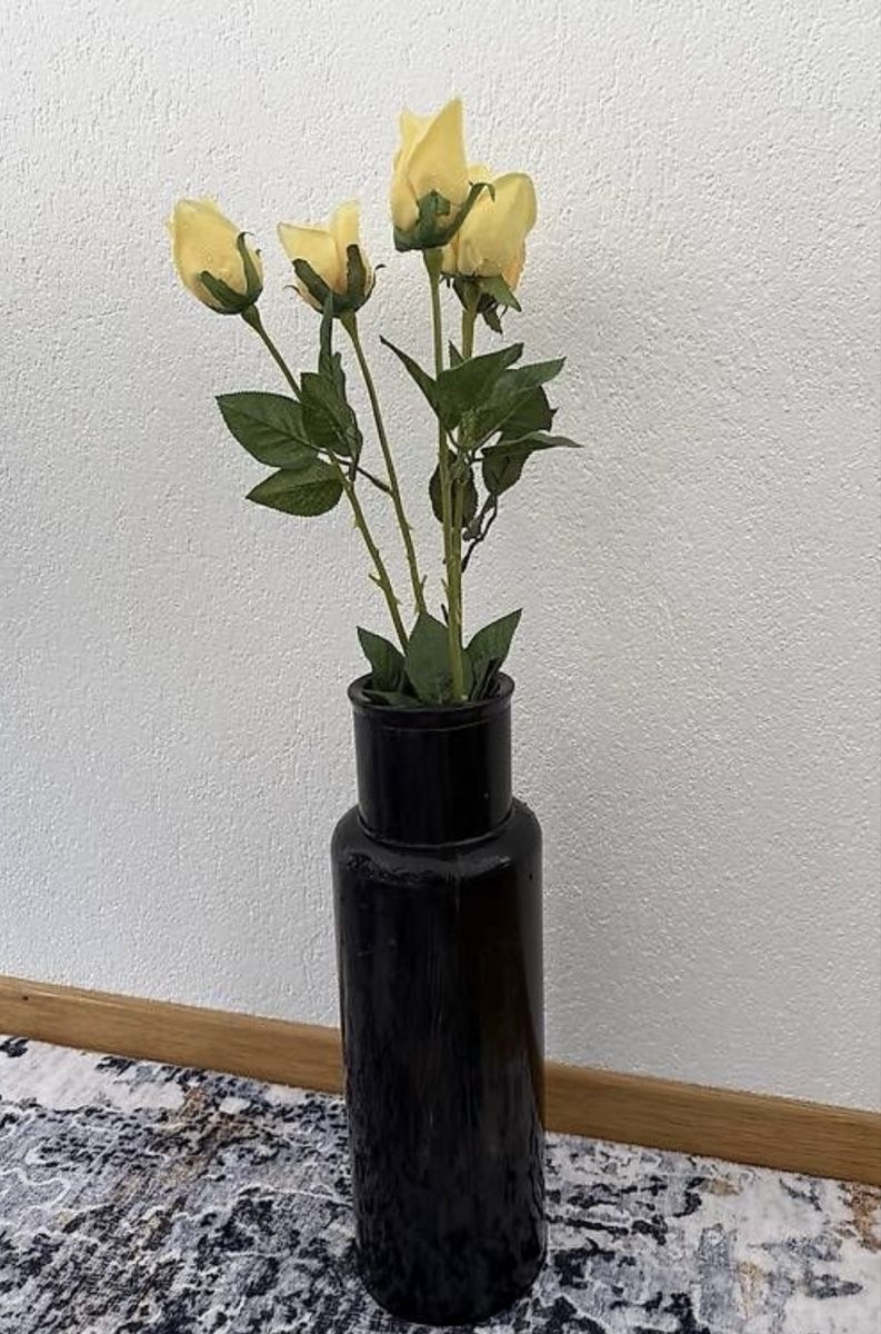 Vasi & Recipienti: Vase ohne Blumen – Usato da Gossau SG venduto da cuk_fyc6