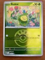 Pokemon Budew Reverse (Versand gratis)