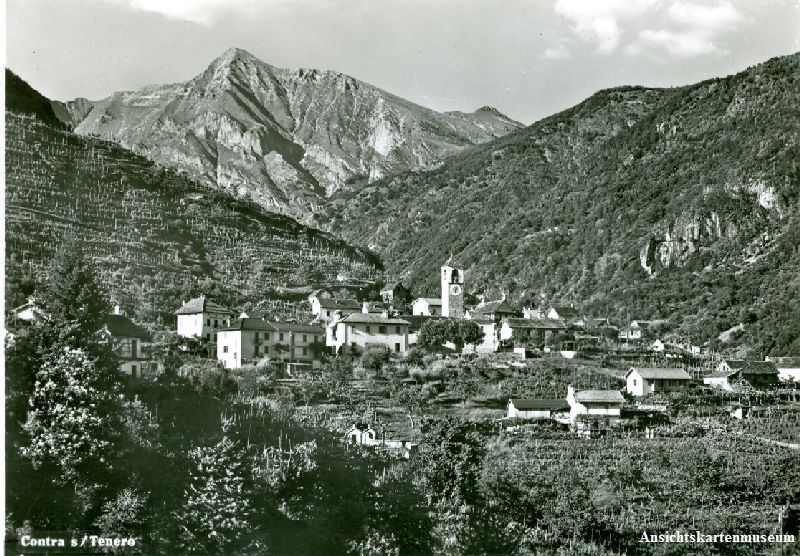 Cartoline postali: Contra - s/ Tenero + 1956 – Usato da Emmenbrücke venduto da teestube