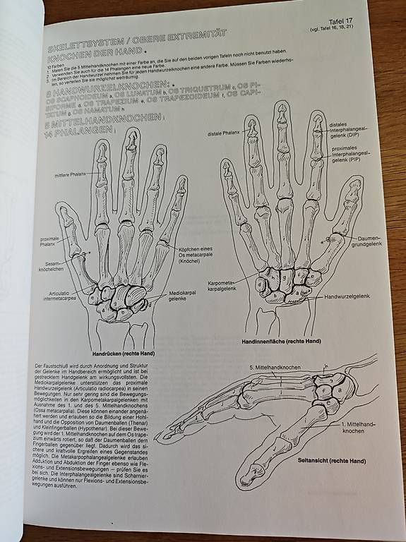 Libri: Anatomie-Malatlas – Usato da Oberengstringen venduto da dalisiana 2