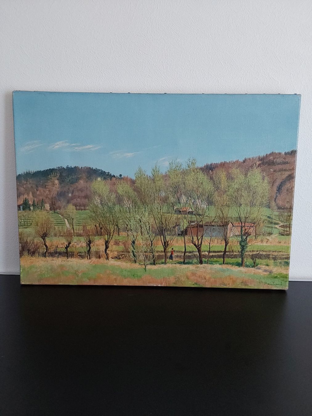 Dipinti: Fritz Bernhard. Oelbild 42x60cm. Signiert – Usato da Steinach venduto da Chilli1957 9