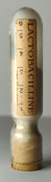 Seltene Lactobacilline Glasampulle Voll 30er 7cm