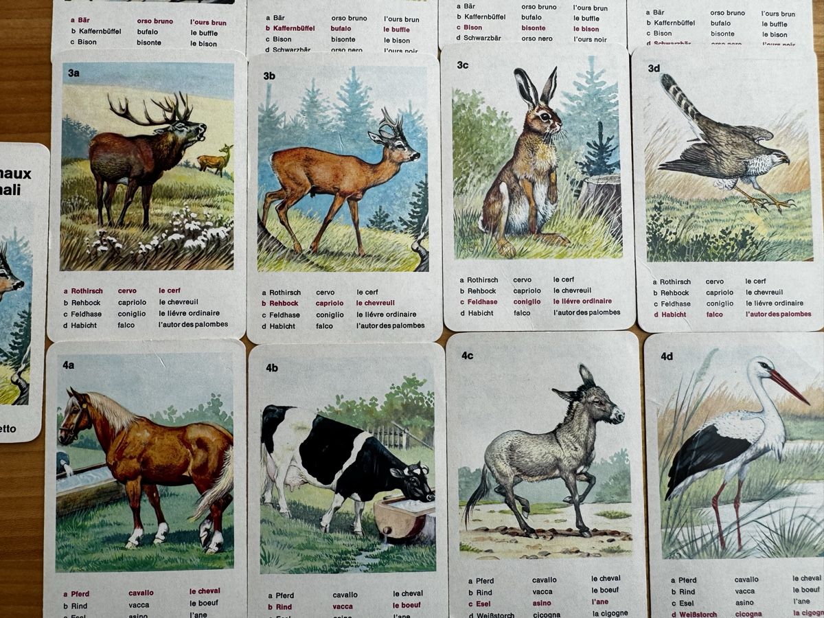Giochi: TIERWELT QUARRTET von SUCHARD EXPRESS – Usato da Honau venduto da sainj 3