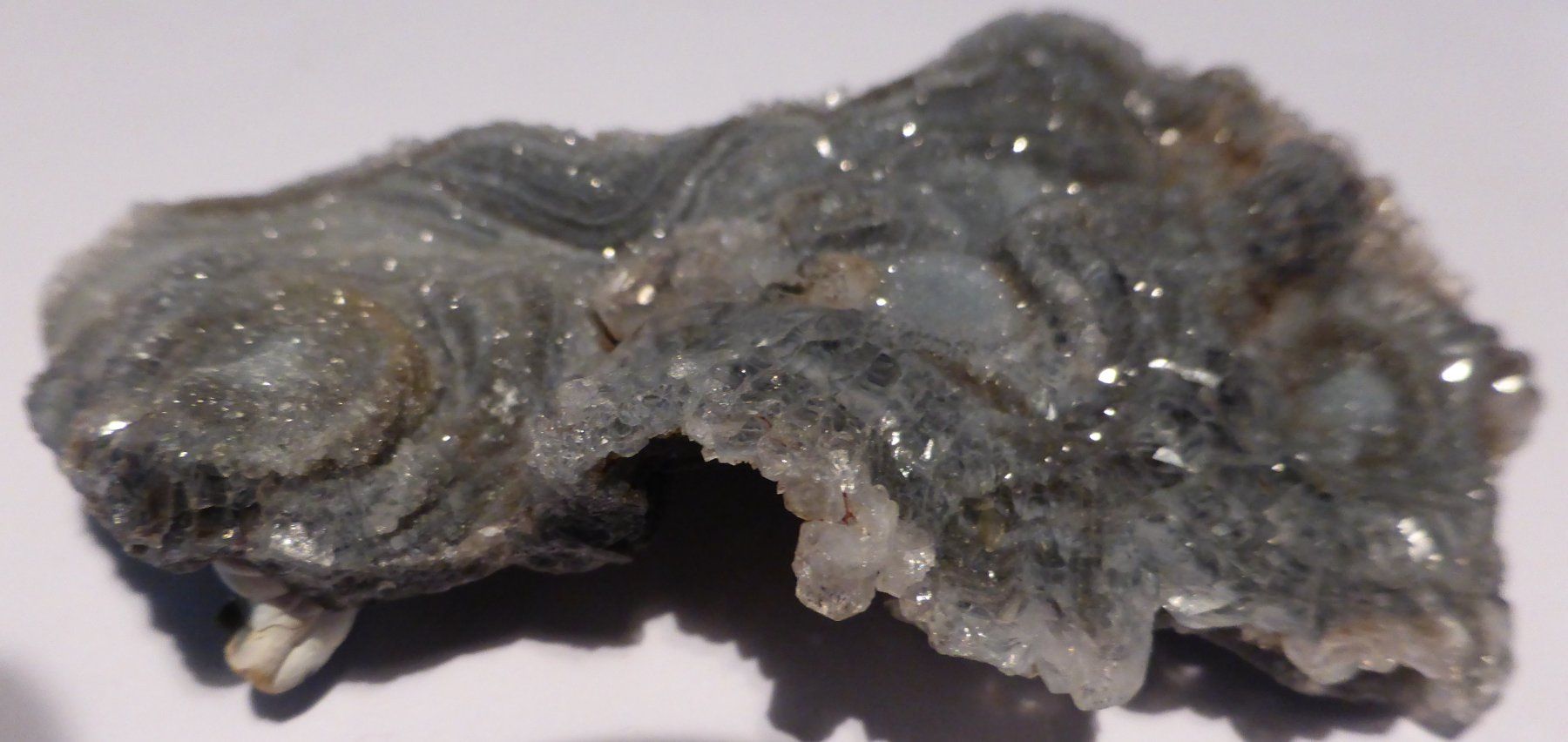 Minerali & Pietre curative: HALB- EDELSTEIN--CHALCEDON---8,5 x 5,5 CM, GRAU-BLAU – Usato da Zürich venduto da tritonis 1