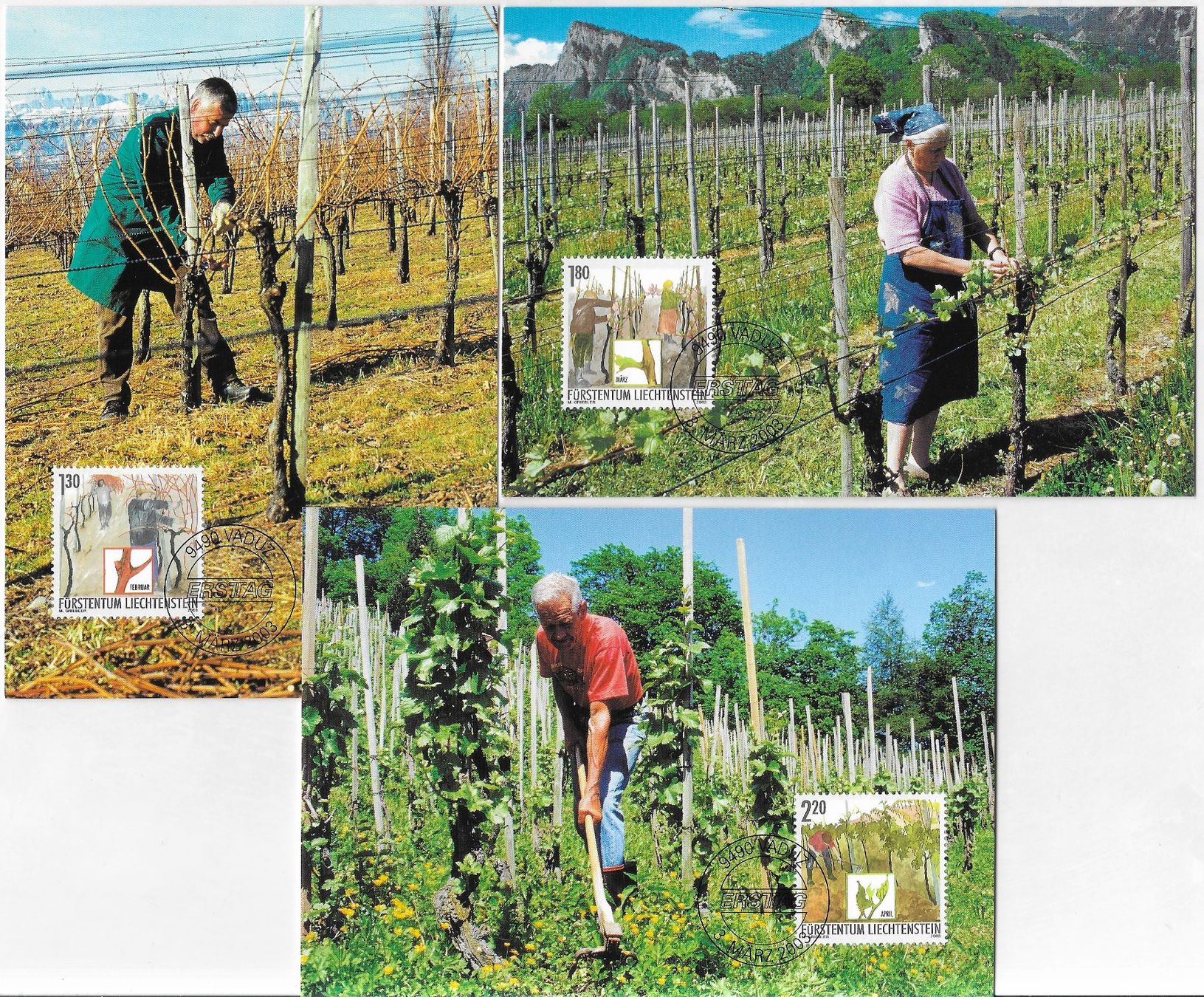 Alle Briefmarken: 2003: FL Winzerarbeit 2 Maxi-PK Serie – Gebraucht aus Walperswil von Tcheidi