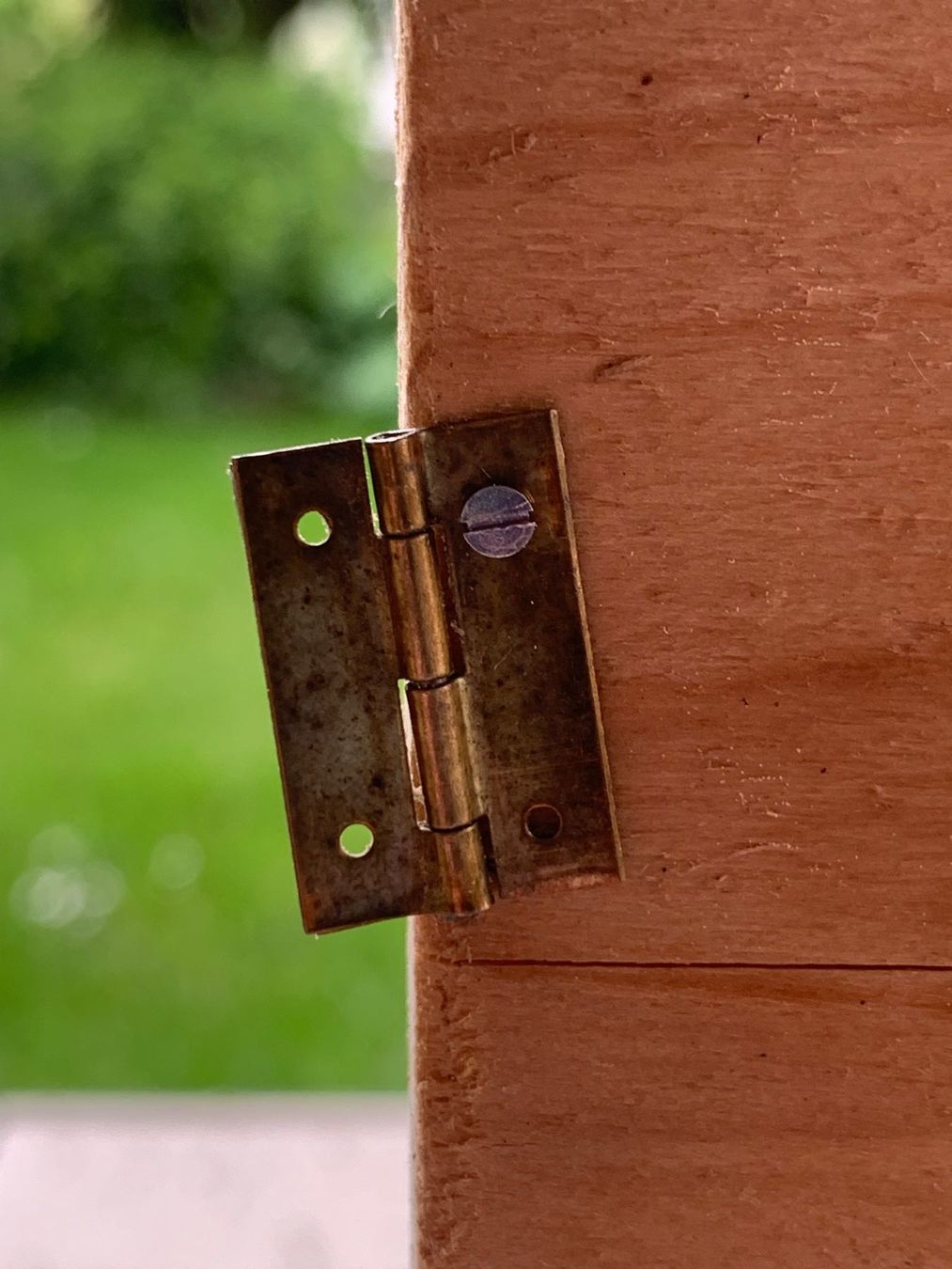Ferramenta: Schrauben 1,4x5mm Schlitz – Nuovo (secondo la descrizione) da Homberg b. Thun venduto da Treeart-1 4