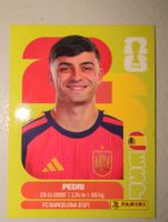 Panini ESP 11 FIFA World Cup 2026