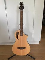 Westerngitarre - Peavey Composer - sehr guter Zustand
