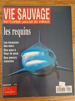 Vie sauvage - les requins