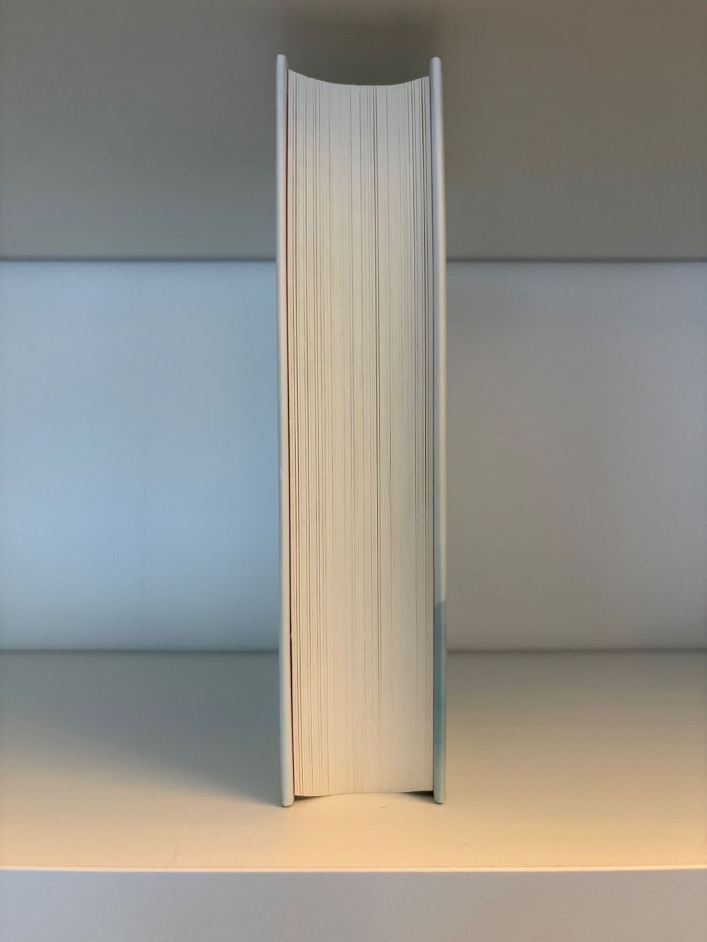 Libri: Die Auswahl - Ally Condie – Usato da Steffisburg venduto da elsa.catalina 3