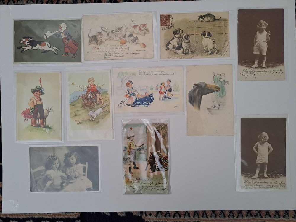 EDITION COLIBRI Lot 20 Cartes Postales Animaux Amusants A6 – Pour Collectionneurs, Postcrossing & Amis Des Animaux