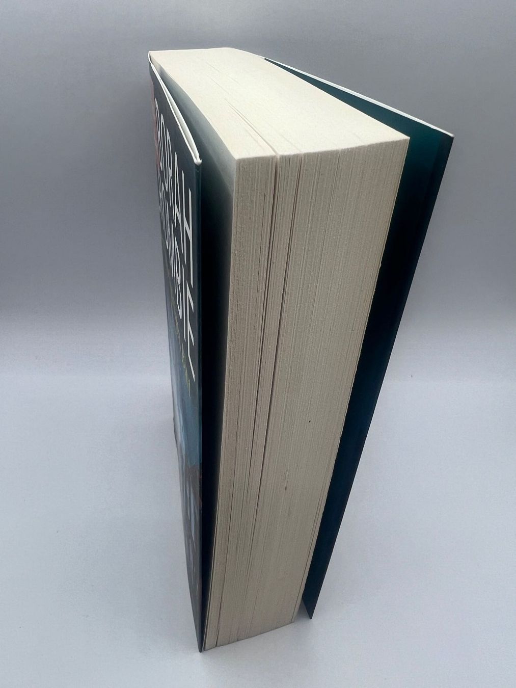 Bücher: 📖 Der Unschuldigen Blut Deborah Crombie – Neu (gemäss Beschreibung) aus Vaduz von NotNeeded 3