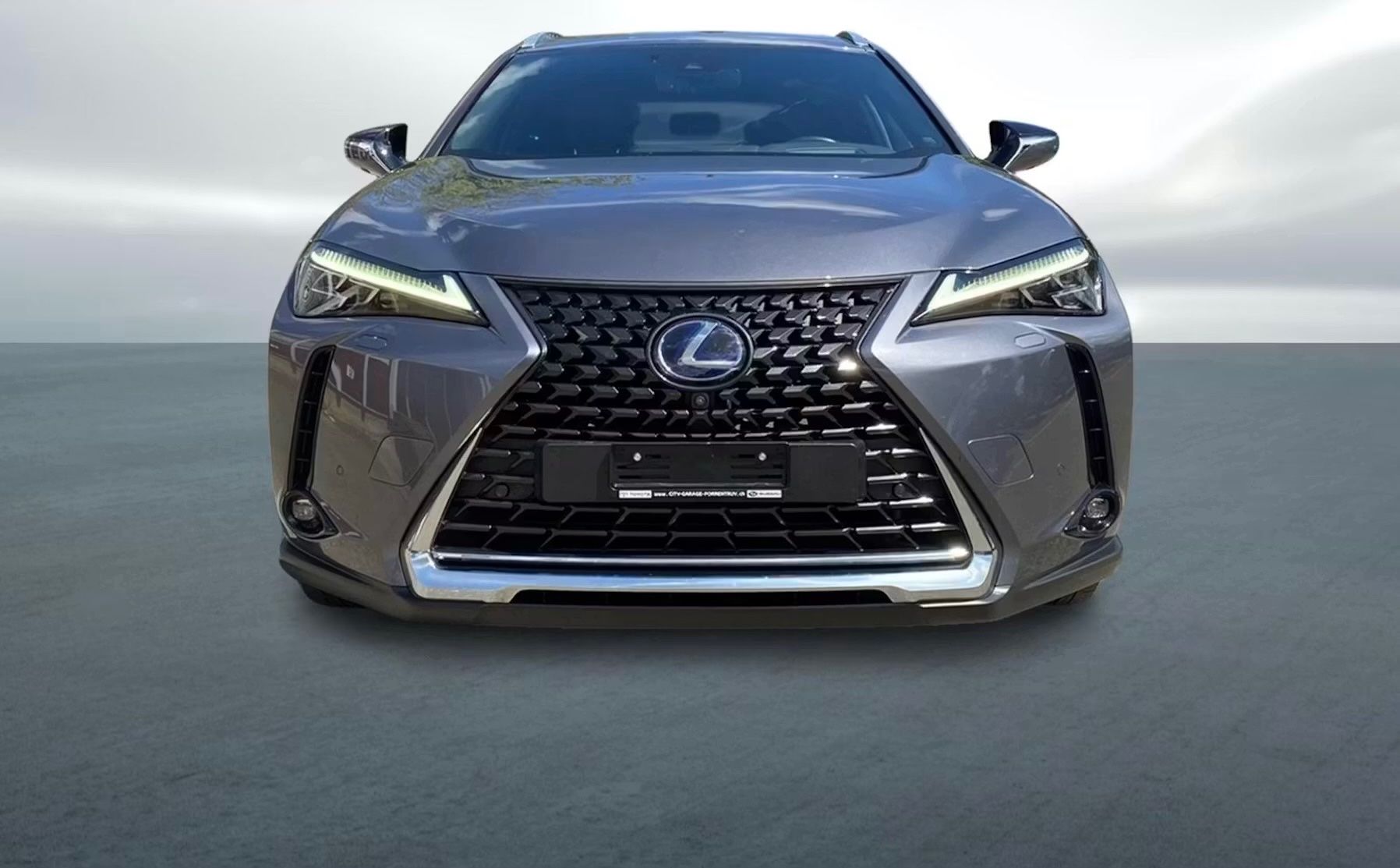 Lexus Automobili: Lexus UX 250 H – Usato da Liestal venduto da Goldart 1
