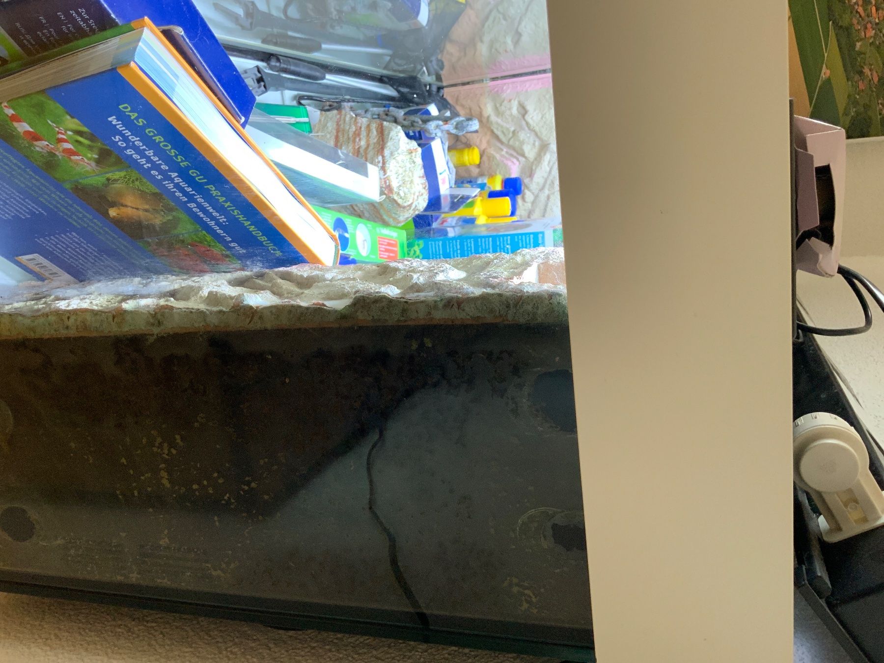 Juwel Aquarium: Aquarium Juwel Rio 240 – Gebraucht aus Mühledorf SO von  4