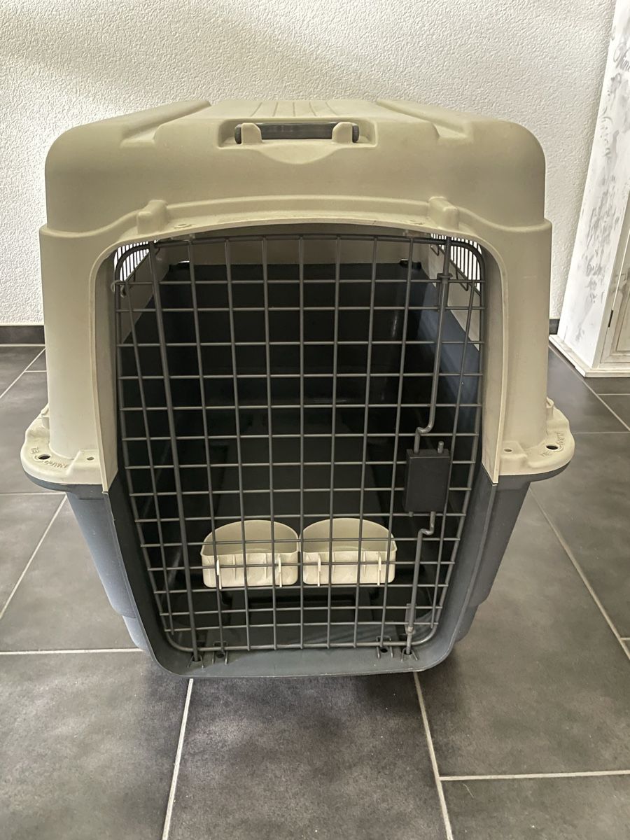 Gabbie, trasporto & Sicurezza: Hundebox Anione – Usato da Büren an der Aare venduto da mii_57vx