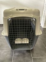 Hundebox Anione