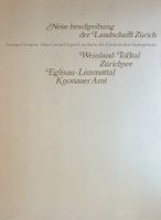 Karten-Faksimile „Neüe beschreibung der Landschafft Zürich“