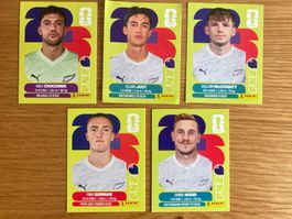 WM Sticker NZL 2, 9, 17, 18, 19