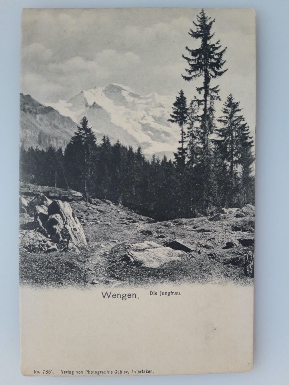 Cartoline postali: Wengen Die Jungfrau – Usato da Sargans venduto da nicsam1815