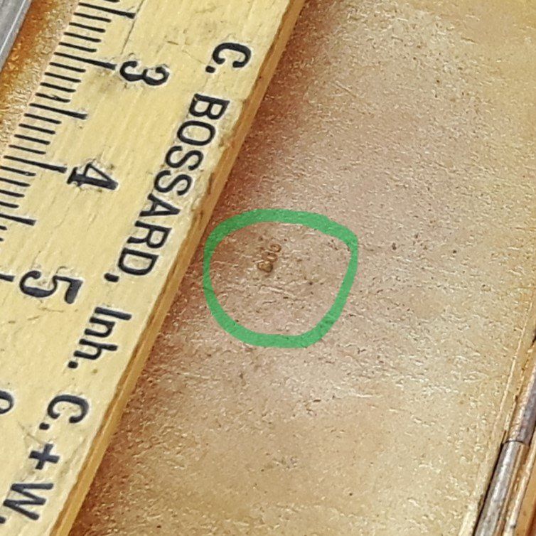Altri Prodotti per fumatori: Zigarettenetui emailliert (Silber 800) – Usato da Zürich venduto da brinkosos 5