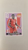 Panini FIFA Extra Sticker REGULAR Alphonso Davies
