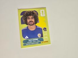 Panini WM 26 - CUW 14