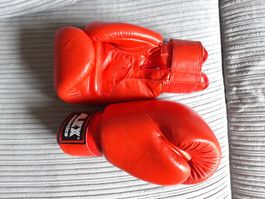 Boxhandschuhe 14 oz ALEX athletics