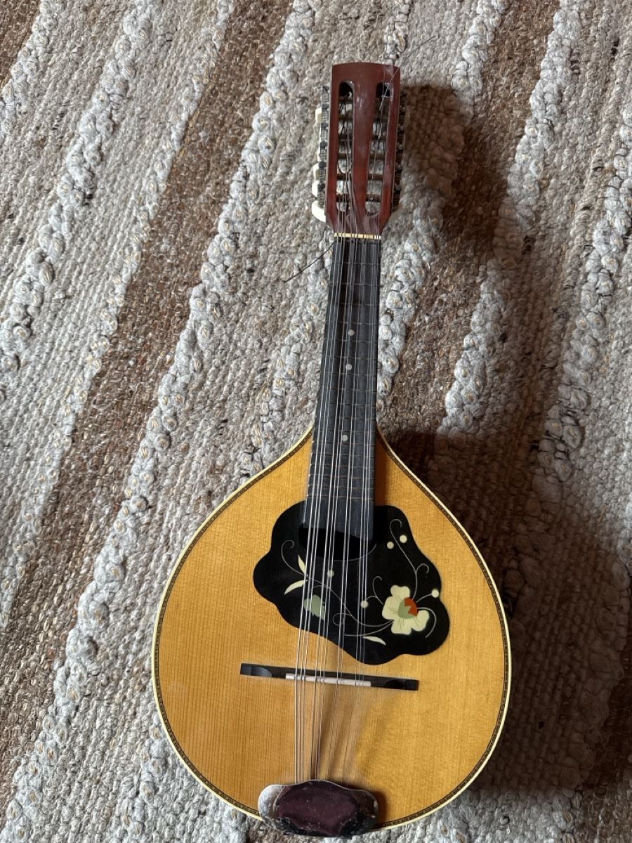 Musikinstrumente: Mandriola – Gebraucht aus Eschenbach SG von hubidani