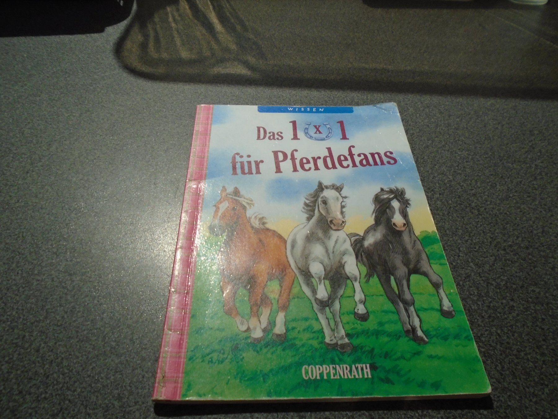 Bücher: Pferdefans aufgepasst: "Das 1x1" Buch – Gebraucht aus Zürich von Motzkuh
