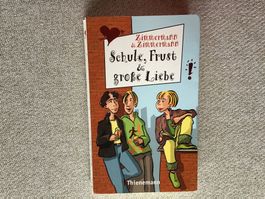 Schule, Frust & grosse Liebe, Buch von Thienemann