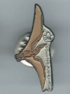 Placchette & Badge: Saurier Pin – Usato da Zürich venduto da t24_de