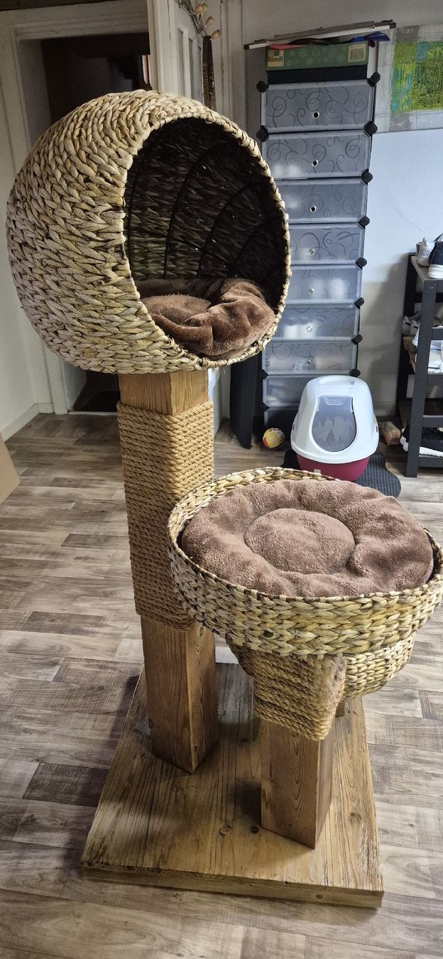 Katzenbaum - Kratzbaum: Katzenbaum – Gebraucht aus näfels von vrenit 2