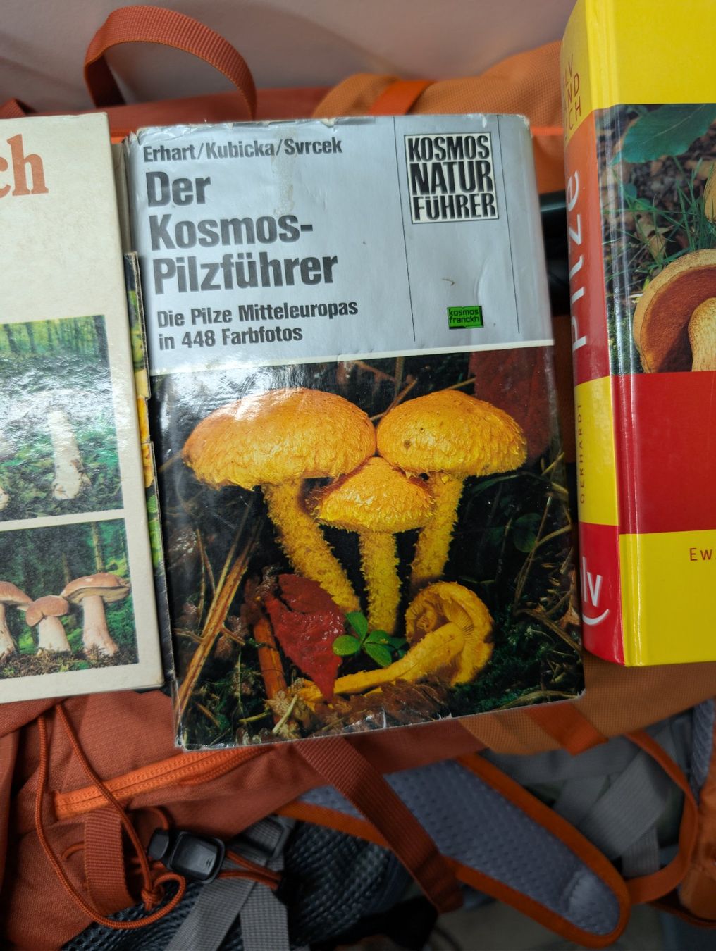 Libri: 3 alte Pilzbücher – Usato da Wynau venduto da Zebrafurz 2